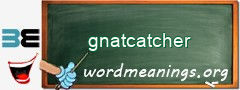 WordMeaning blackboard for gnatcatcher